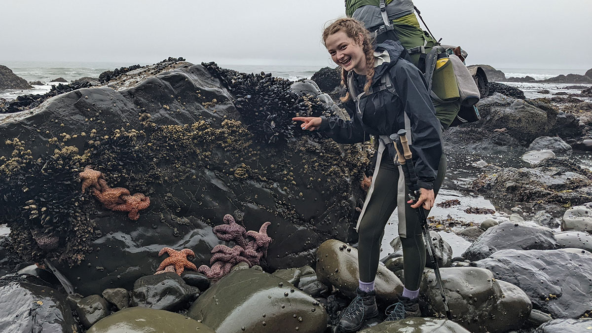 person standing next to marine wildlife on beach